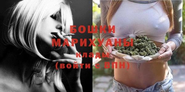 ПСИЛОЦИБИНОВЫЕ ГРИБЫ Новодвинск