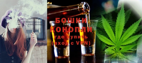 винт Осташков