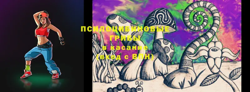 Галлюциногенные грибы Psilocybine cubensis  Камешково 